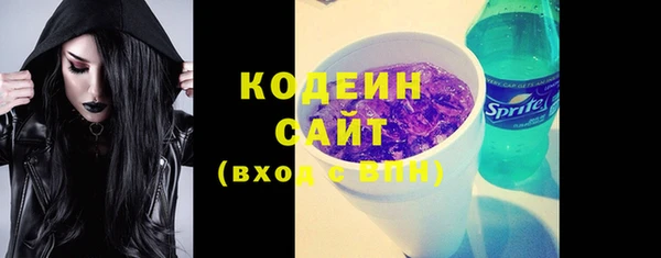 дживик Верхний Тагил