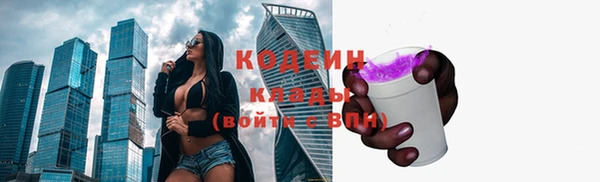 дживик Верхний Тагил