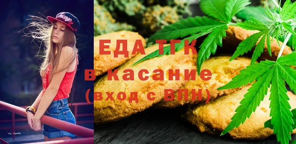 дживик Верхний Тагил