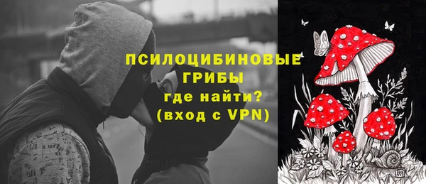 дживик Верхний Тагил