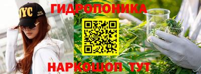 стаф Владикавказ