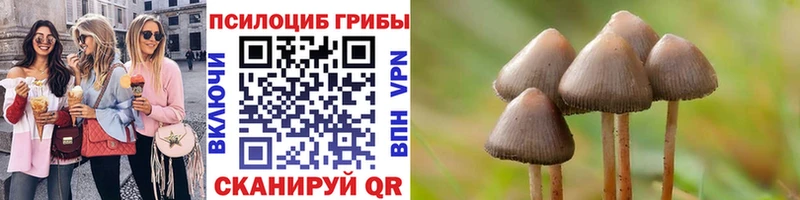 Галлюциногенные грибы прущие грибы  Мончегорск 