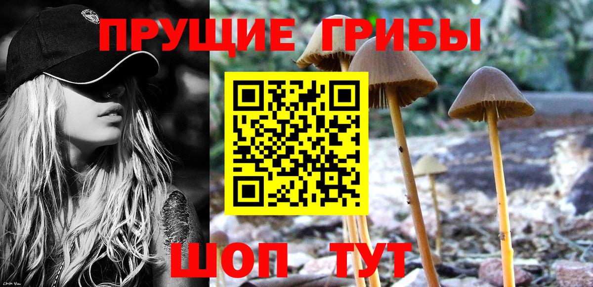 Мончегорск  Галлюциногенные грибы мицелий  Вход с VPN 