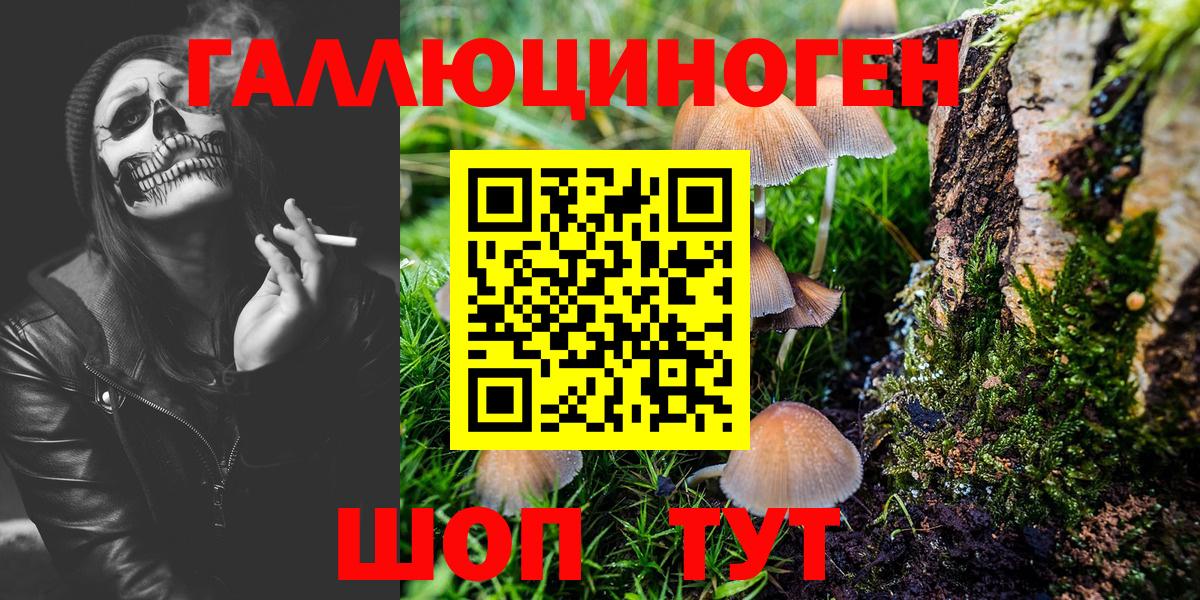 Галлюциногенные грибы Psilocybe Мончегорск